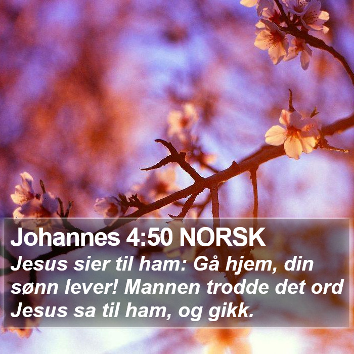 Johannes 4:50 NORSK Bible Study
