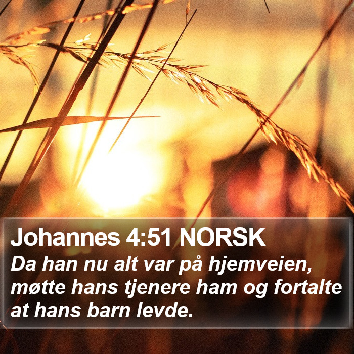 Johannes 4:51 NORSK Bible Study