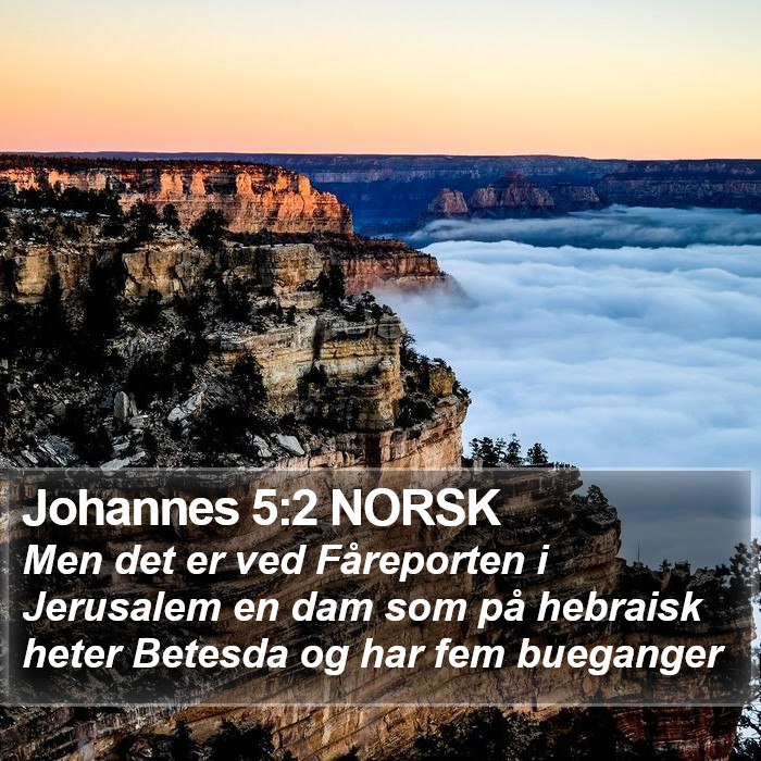 Johannes 5:2 NORSK Bible Study