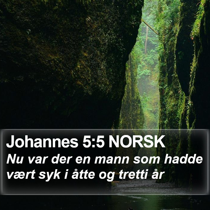 Johannes 5:5 NORSK Bible Study