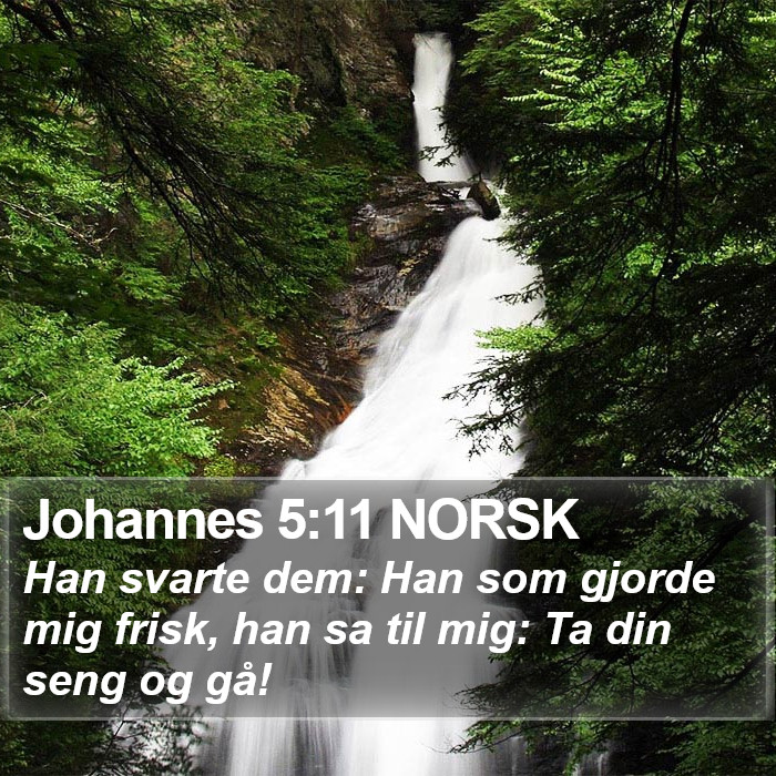 Johannes 5:11 NORSK Bible Study