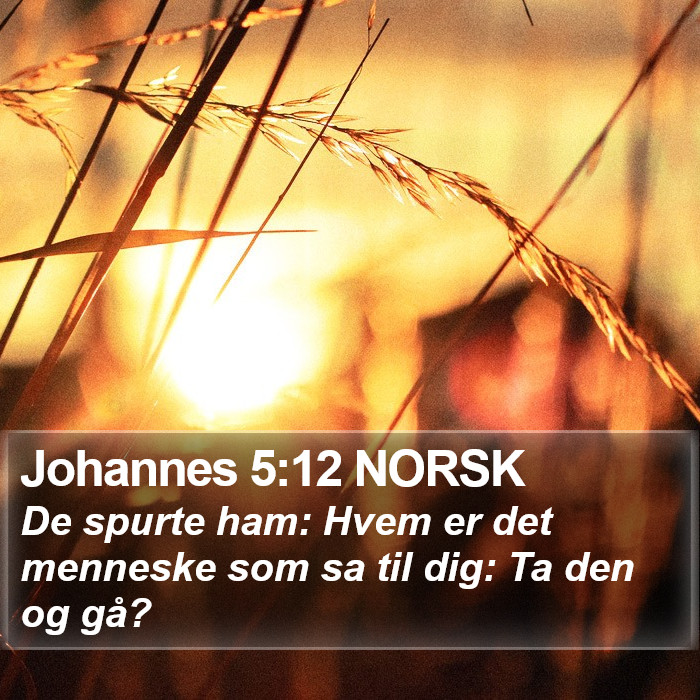 Johannes 5:12 NORSK Bible Study