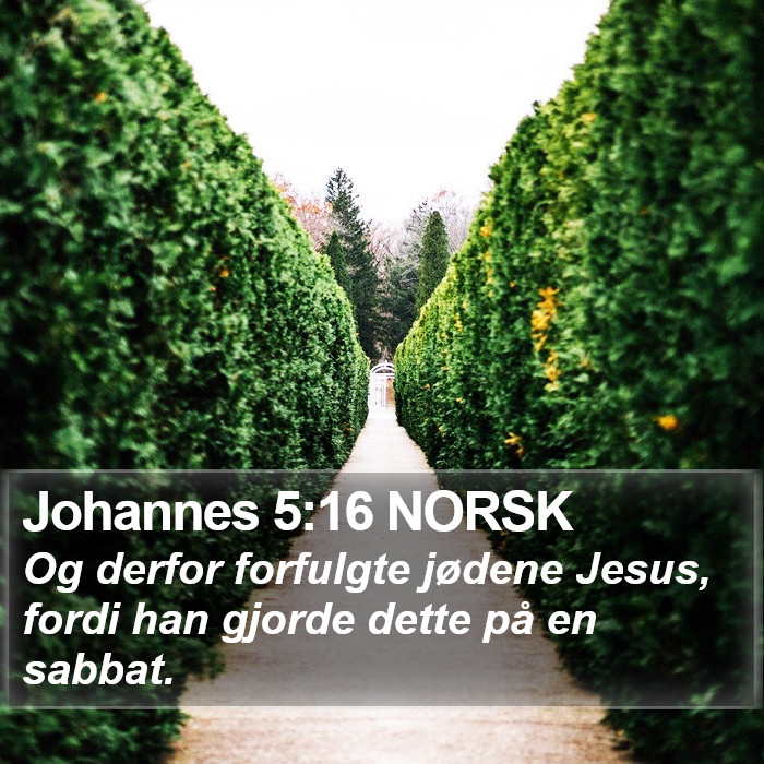 Johannes 5:16 NORSK Bible Study