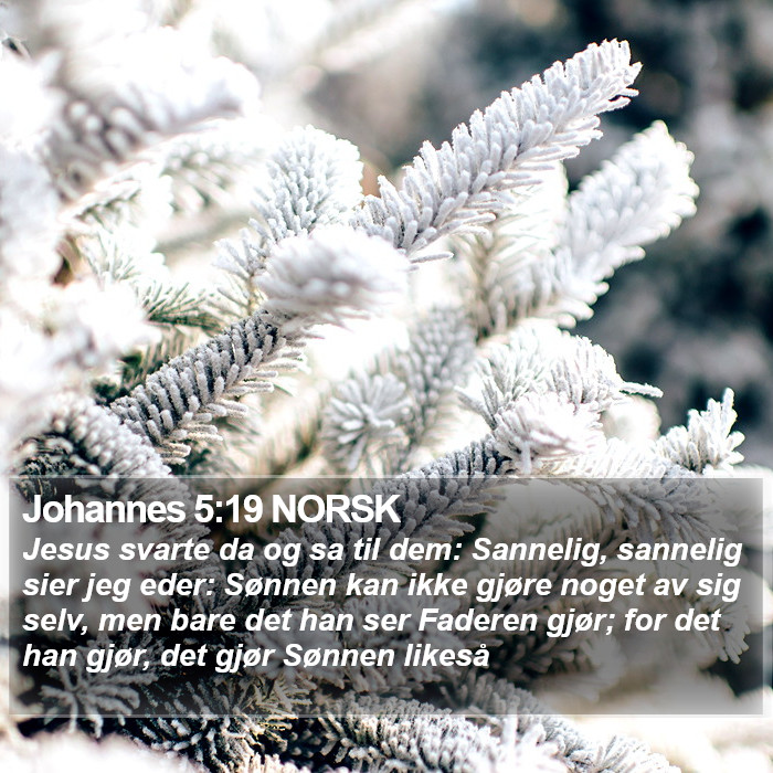 Johannes 5:19 NORSK Bible Study