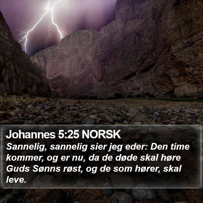 Johannes 5:25 NORSK Bible Study