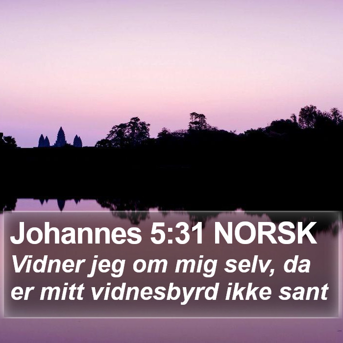 Johannes 5:31 NORSK Bible Study