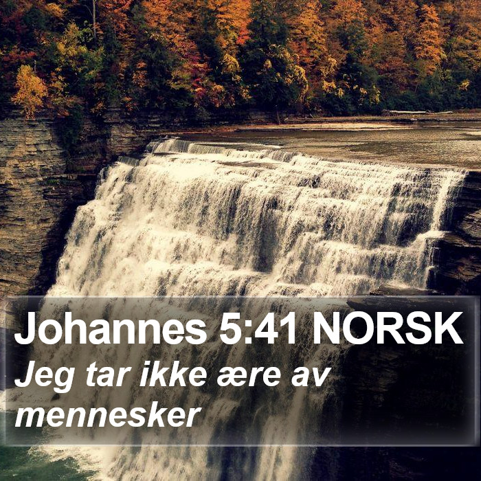 Johannes 5:41 NORSK Bible Study