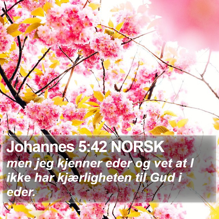 Johannes 5:42 NORSK Bible Study