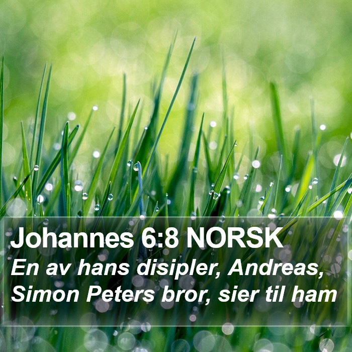 Johannes 6:8 NORSK Bible Study
