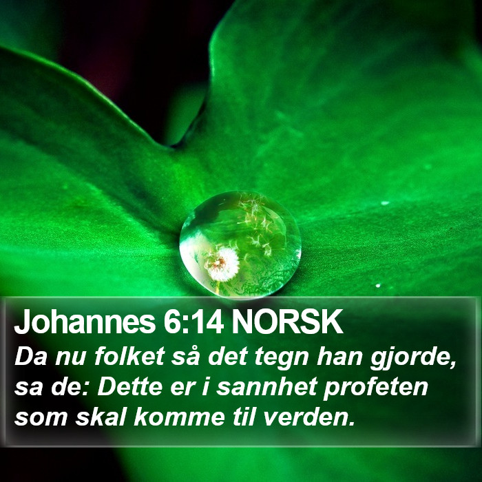 Johannes 6:14 NORSK Bible Study