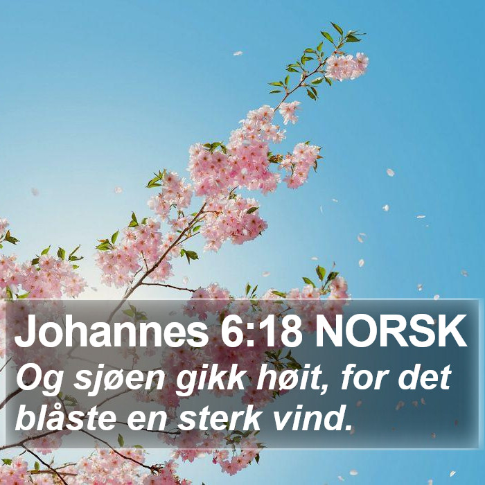 Johannes 6:18 NORSK Bible Study