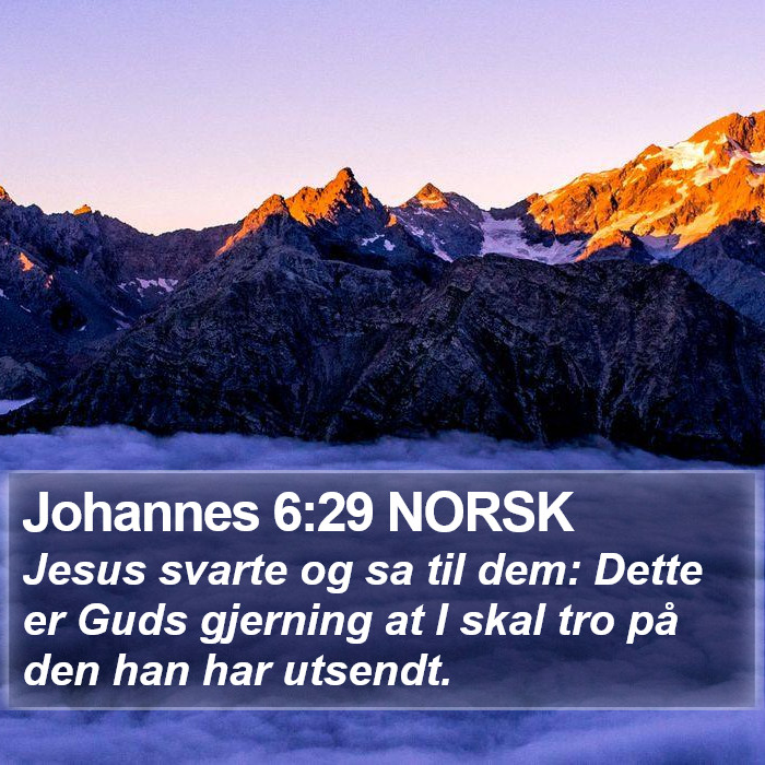 Johannes 6:29 NORSK Bible Study