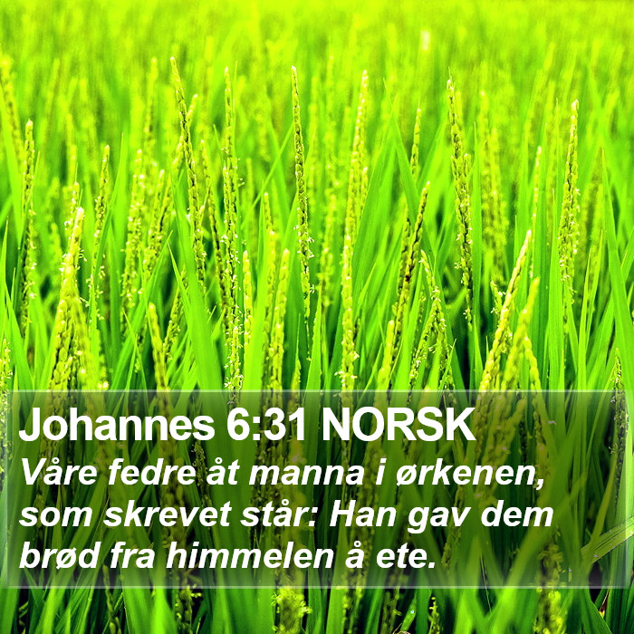 Johannes 6:31 NORSK Bible Study