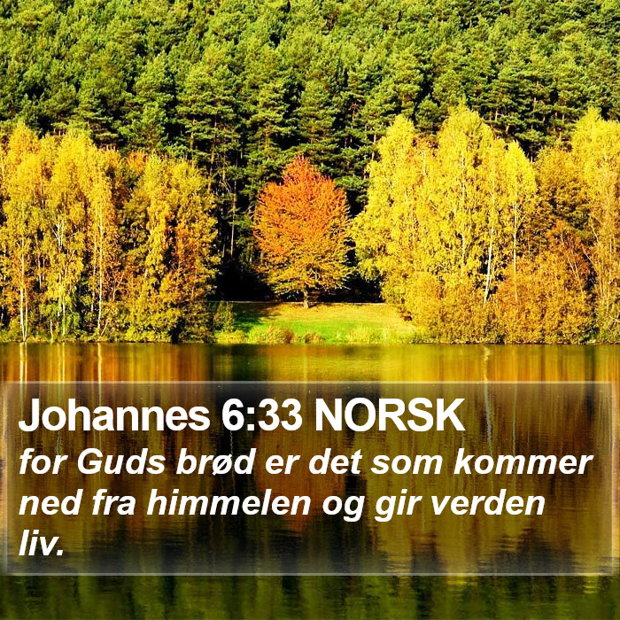 Johannes 6:33 NORSK Bible Study