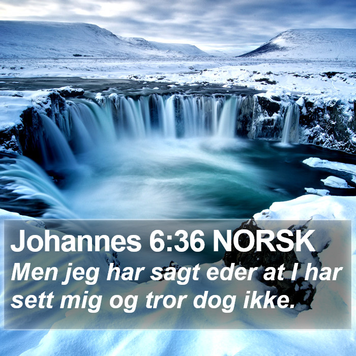 Johannes 6:36 NORSK Bible Study