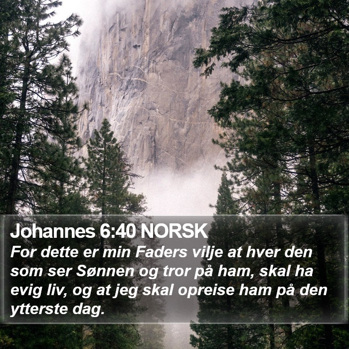 Johannes 6:40 NORSK Bible Study