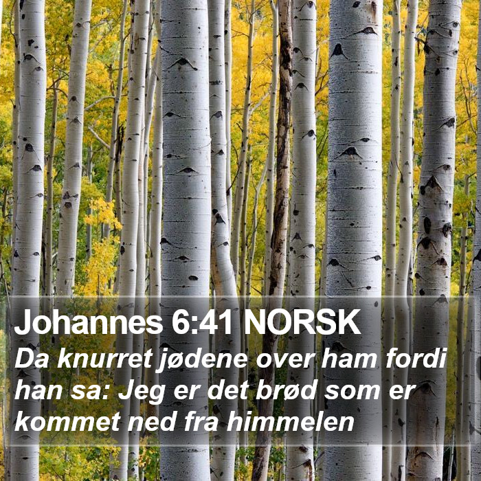 Johannes 6:41 NORSK Bible Study