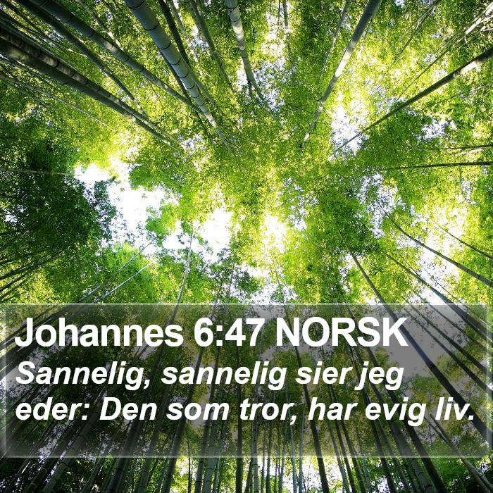 Johannes 6:47 NORSK Bible Study