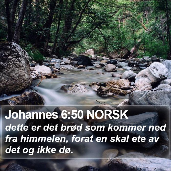 Johannes 6:50 NORSK Bible Study