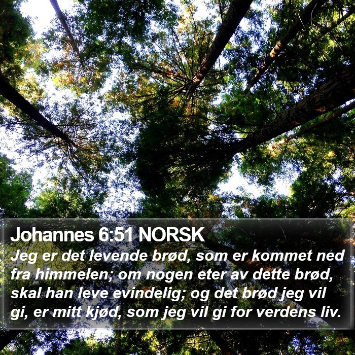 Johannes 6:51 NORSK Bible Study