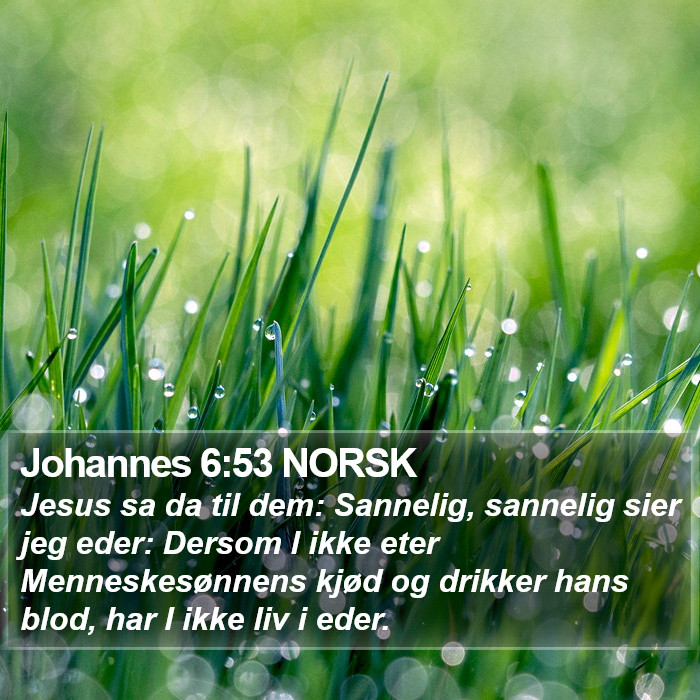 Johannes 6:53 NORSK Bible Study