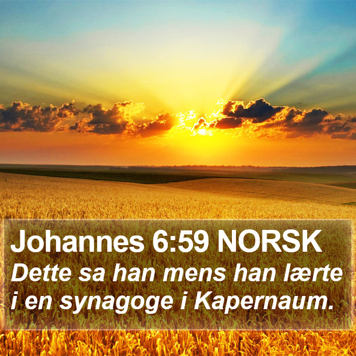 Johannes 6:59 NORSK Bible Study