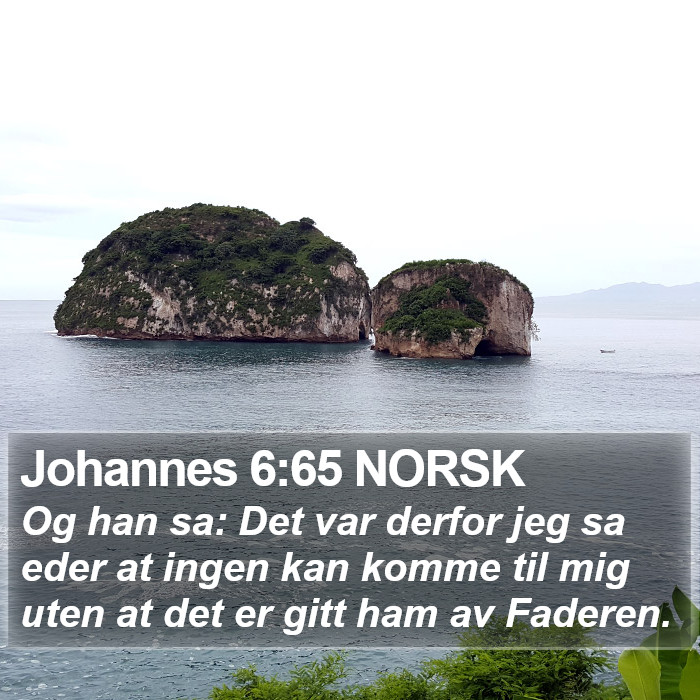 Johannes 6:65 NORSK Bible Study