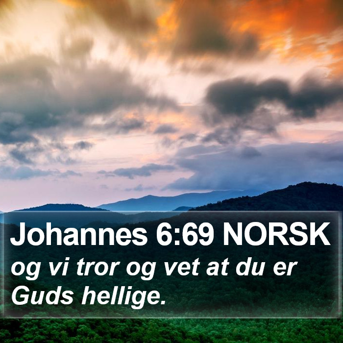 Johannes 6:69 NORSK Bible Study