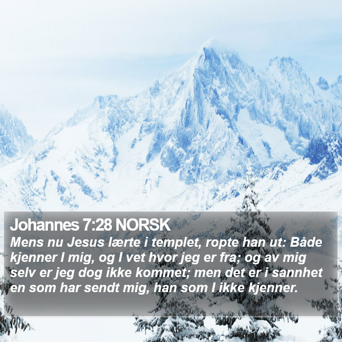 Johannes 7:28 NORSK Bible Study