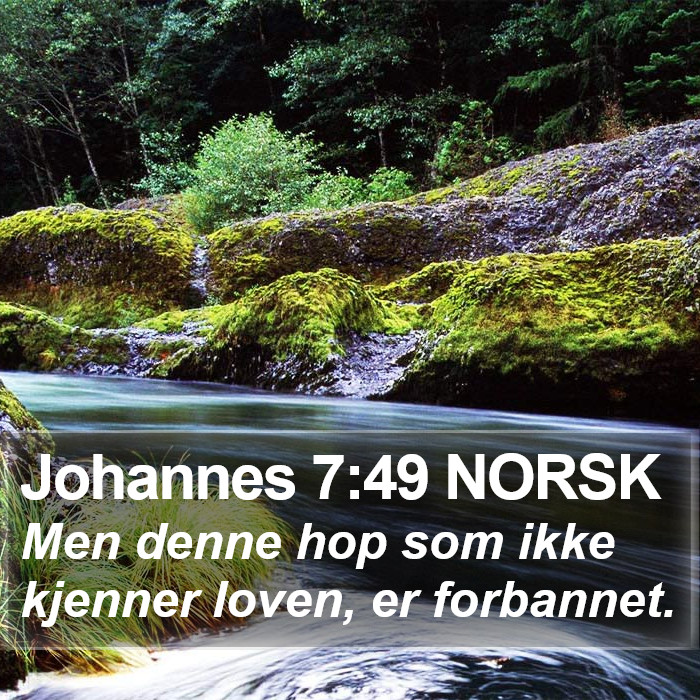 Johannes 7:49 NORSK Bible Study