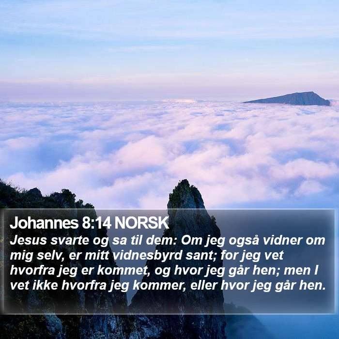 Johannes 8:14 NORSK Bible Study