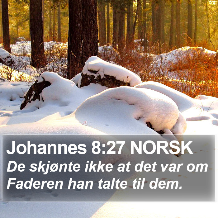 Johannes 8:27 NORSK Bible Study