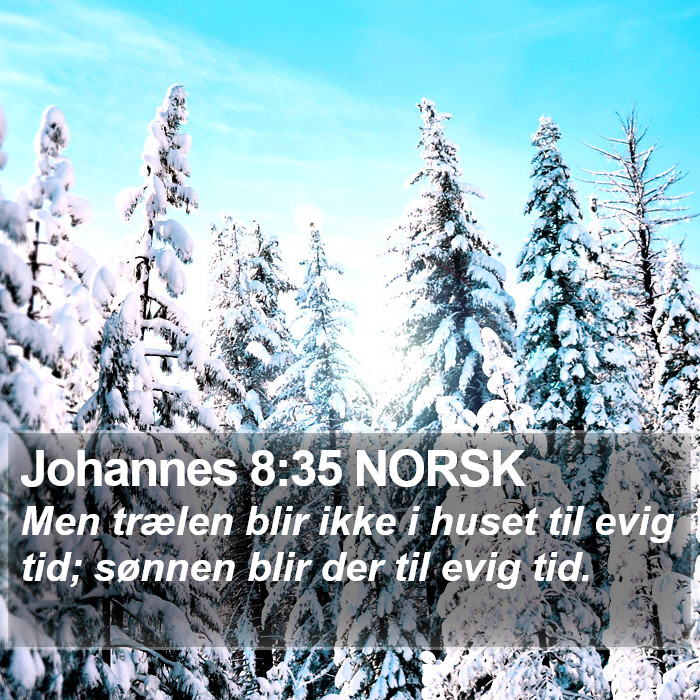 Johannes 8:35 NORSK Bible Study