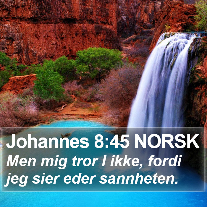 Johannes 8:45 NORSK Bible Study