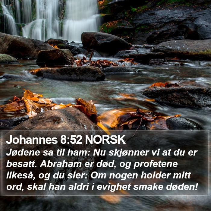 Johannes 8:52 NORSK Bible Study
