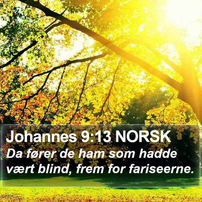 Johannes 9:13 NORSK Bible Study