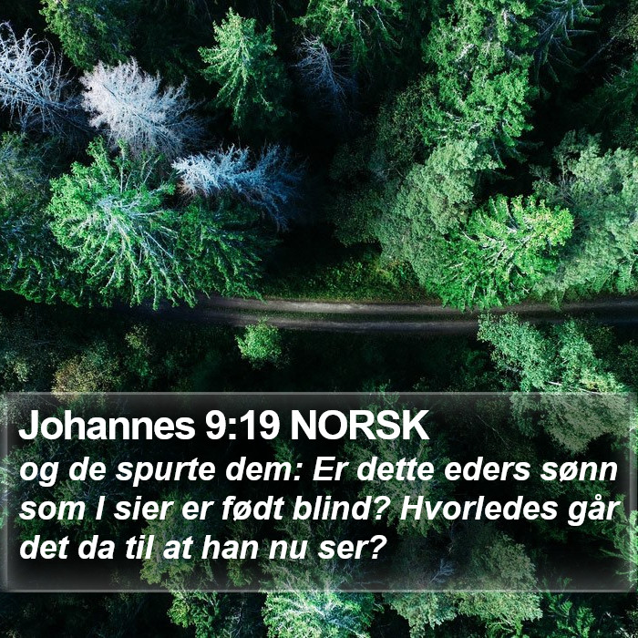 Johannes 9:19 NORSK Bible Study