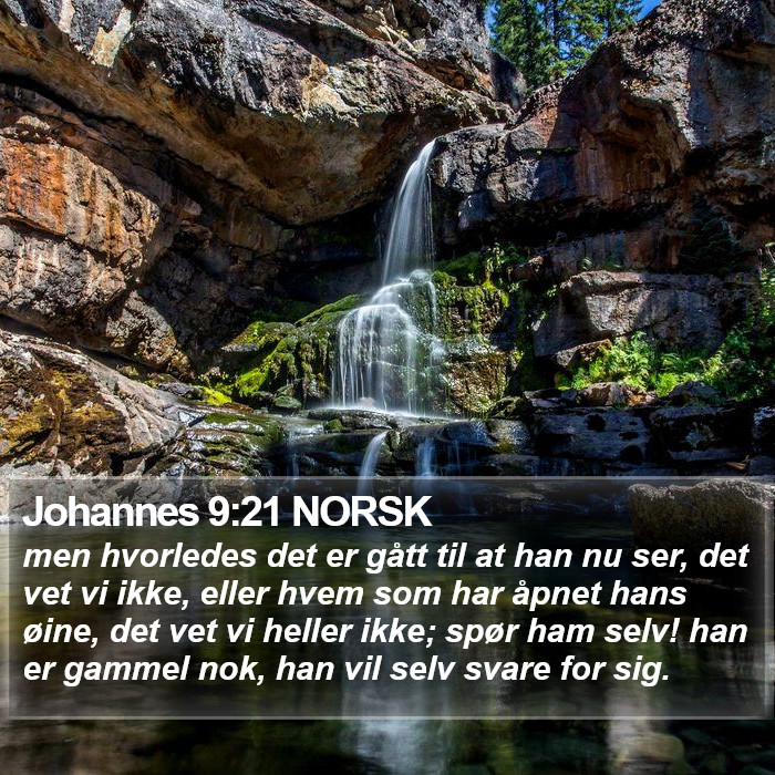 Johannes 9:21 NORSK Bible Study