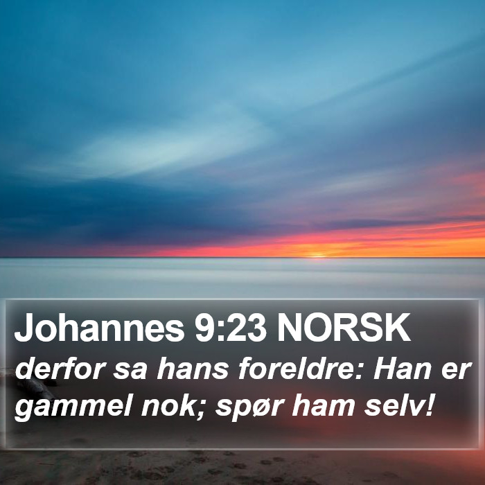 Johannes 9:23 NORSK Bible Study