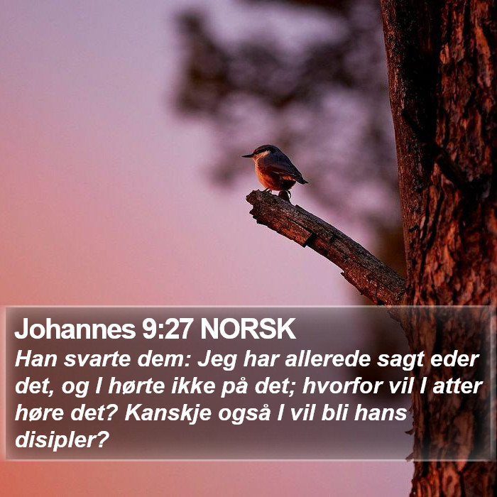Johannes 9:27 NORSK Bible Study