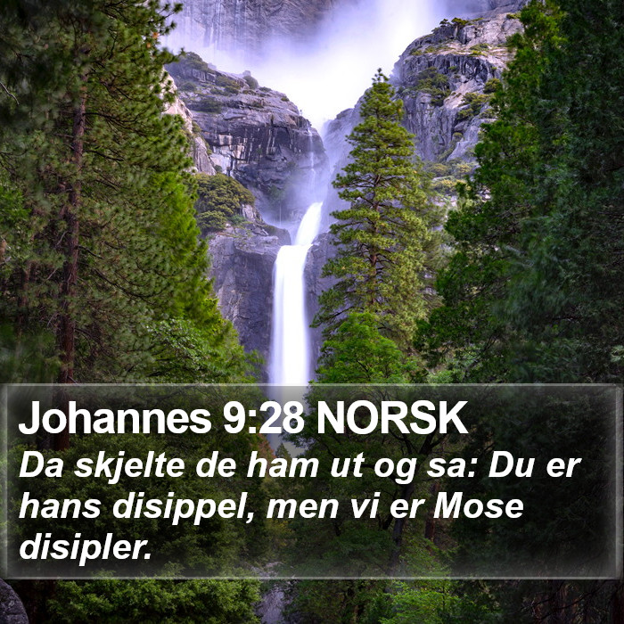 Johannes 9:28 NORSK Bible Study