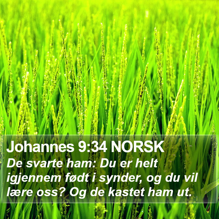 Johannes 9:34 NORSK Bible Study