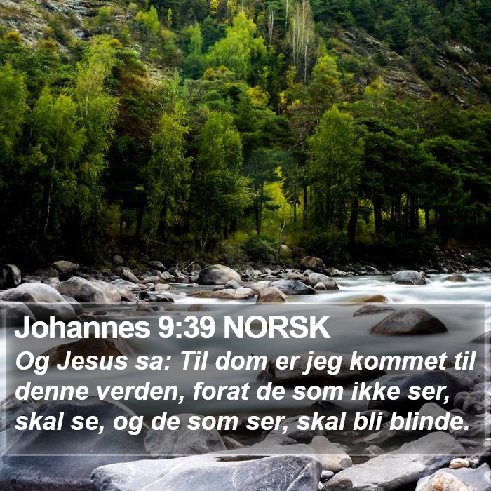 Johannes 9:39 NORSK Bible Study