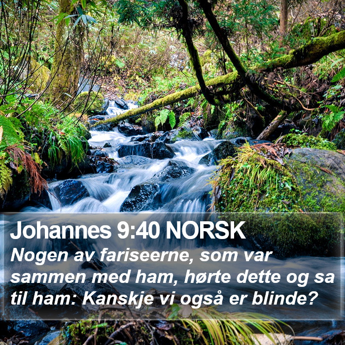 Johannes 9:40 NORSK Bible Study