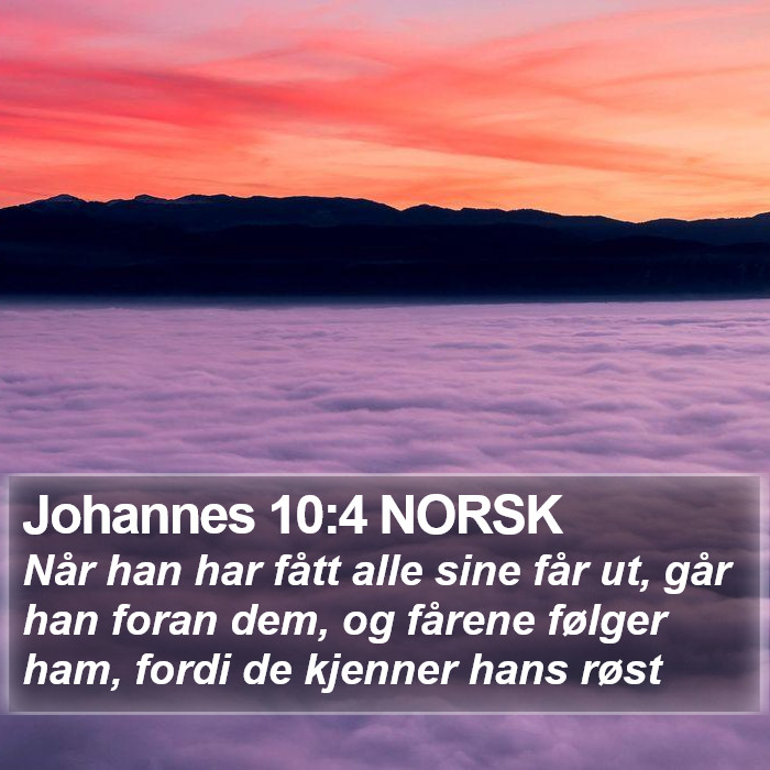 Johannes 10:4 NORSK Bible Study