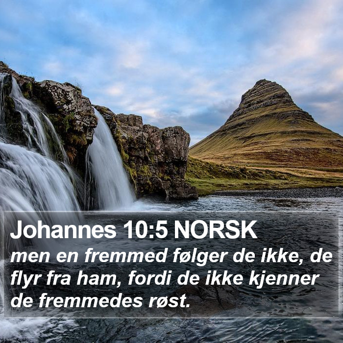 Johannes 10:5 NORSK Bible Study