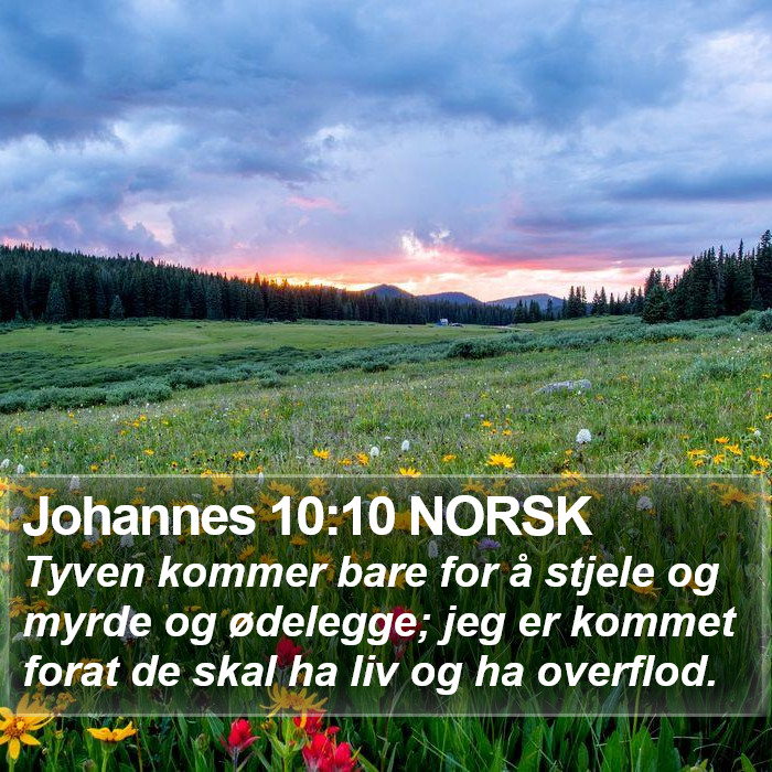 Johannes 10:10 NORSK Bible Study