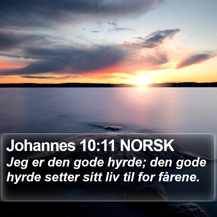 Johannes 10:11 NORSK Bible Study