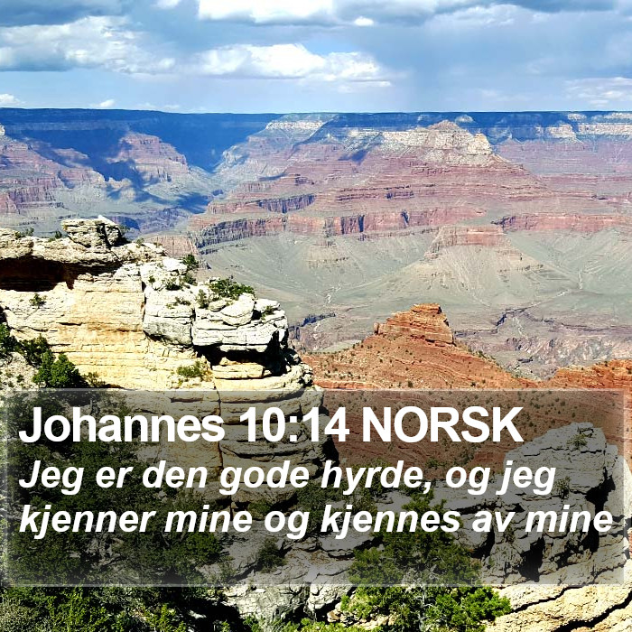 Johannes 10:14 NORSK Bible Study