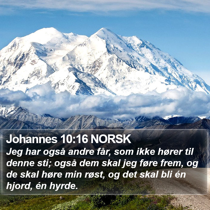 Johannes 10:16 NORSK Bible Study